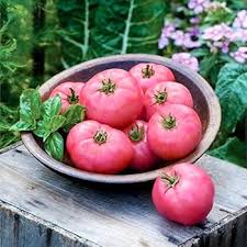 Pale Pink Big Tomato Seeds for Planting - Heirloom, Non-GMO Organic Seeds with Soft Color &amp; Full, Rich Flavor