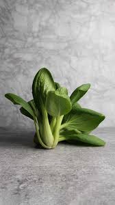Green Pak Choi Baby Seeds for Planting – Heirloom, Non-GMO, High Germination Organic Garden Seeds
