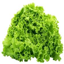 Lamb Lettuce Vegetable Seeds for Planting – Heirloom, Non-GMO, High Germination Organic Garden Seeds