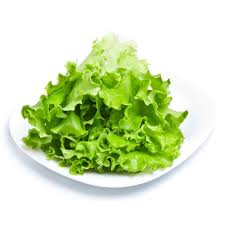 Green Lettuce Seeds for Planting – Heirloom, Non-GMO, Crisp Organic Garden Seeds for Healthy Leafy Greens