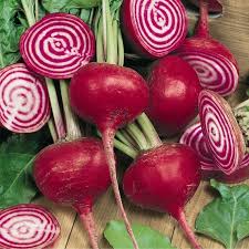 Chioggia Vegetable Seeds for Planting – Heirloom Non-GMO Organic Garden Seeds – Vibrant Italian Root for Unique Harvests