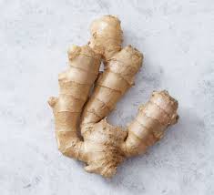 Ginger Seeds for Planting – Heirloom, Non-GMO, Aromatic Organic Garden Seeds – High Germination, Culinary & Medicinal Root