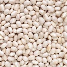 Hungarian Seeds for Planting – Heirloom Non-GMO High Germination Seeds for Organic Vegetable Gardens