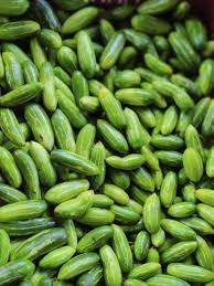 Ivy Gourd Seeds for Planting – Heirloom Non-GMO High Germination Seeds for Organic Tropical Gardens