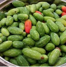 Ivy Gourd Seeds for Planting – Heirloom Non-GMO High Germination Seeds for Organic Tropical Gardens