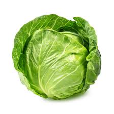 Cabbage Seeds for Planting – Heirloom Non-GMO High Germination Seeds for Organic Vegetable Gardens