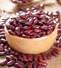 Scarlet Bean Seeds for Planting – Heirloom, Non-GMO, High Germination Organic Garden Seeds with Edible Pods & Vibrant Flowers