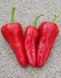 Chilli Peter Pepper Seeds for Planting – Heirloom & Non-GMO, High Germination Organic Seeds for Fiery Homegrown Peppers