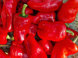Chilli Peter Pepper Seeds for Planting – Heirloom & Non-GMO, High Germination Organic Seeds for Fiery Homegrown Peppers