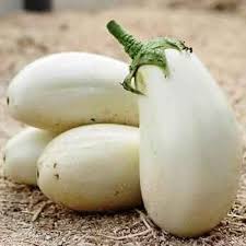 Berenjena Blanca Seeds for Planting – Heirloom Non-GMO High Germination White Eggplant Seeds for Organic Gardens