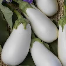 Berenjena Blanca Seeds for Planting – Heirloom Non-GMO High Germination White Eggplant Seeds for Organic Gardens