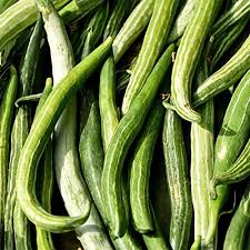 Snake Gourd Seeds for Planting – High Yield, Fast Growing Summer Vegetable
