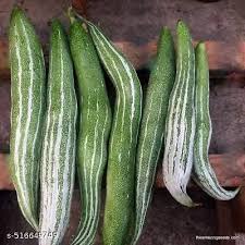 Cucumerina Seeds for Planting – Heirloom & Non-GMO, High Germination Organic Garden Seeds