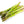Asparagus Seeds for Planting – Heirloom & Non-GMO, High Germination Organic Garden Seeds