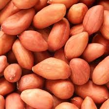 Pinto Bean Vegetable Seeds for Planting – Heirloom, Non-GMO, High Germination Organic Garden Seeds