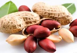 Groundnut Plant Seeds for Planting – Heirloom & Non-GMO, High Germination Organic Seeds for Edible Gardening Projects