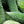 Bitter Melon Seeds for Planting – Heirloom & Non-GMO, High Germination Organic Garden Seeds