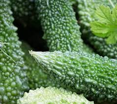 Bitter Melon Seeds for Planting – Heirloom & Non-GMO, High Germination Organic Garden Seeds