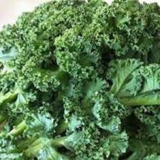 Siberian Kale Seeds for Planting – Heirloom, Non-GMO, High Germination, Organic Garden Seeds