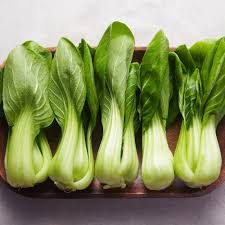 Sea Green Choi Bok Choy Seeds for Planting – Heirloom, Non-GMO, High Germination, Unique Shade & Texture