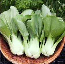 Choi Seeds for Planting – Heirloom & Non-GMO, High Germination Organic Garden Seeds for Leafy Greens