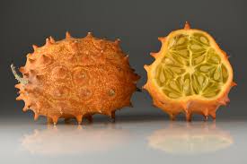 Cucumis Metuliferus Seeds for Planting – Heirloom & Non-GMO, High Germination Organic Seeds for Exotic Horned Melons