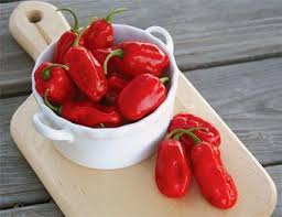 Trinidad Hot Pepper Vegetable Seeds for Planting – Heirloom Non-GMO Organic Garden Seeds – Exotic Heat, High Germination