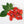 Zavory Pepper Seeds for Planting – Heirloom & Non-GMO, High Germination Organic Chili Seeds for Mild Spice Gardens