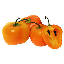 Manzano Pepper Seeds for Planting – Heirloom & Non-GMO, High Germination Organic Seeds for Unique Apple-Shaped Peppers