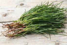 Agretti Plant Seeds for Planting – Heirloom & Non-GMO, High Germination Organic Seeds for Gourmet Green Gardens