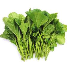 Mallow Vegetable Seeds for Planting – Heirloom & Non-GMO, High Germination Organic Seeds for Edible & Ornamental Gardens