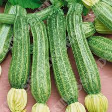 Courgette Vegetable Seeds for Planting – Heirloom & Non-GMO, High Germination Organic Seeds for Fast-Growing Garden Veggies