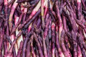 Purple Asparagus Seeds for Planting – Heirloom, Non-GMO, Vibrant Stalks – Organic Garden Seeds