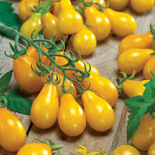 Pear Tomato Seeds for Planting – Heirloom & Non-GMO, High Germination Organic Seeds for Sweet Teardrop Tomatoes and Fresh Salads