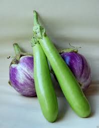 Purple Green Eggplant Seeds for Planting - Heirloom, Non-GMO, Edible & Ornamental Garden Seeds