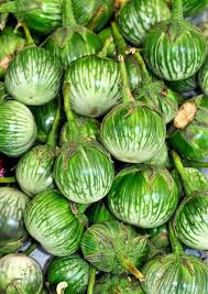 Dark Green Eggplant Seeds for Planting - Heirloom, Non-GMO, Organic Garden Seeds for Compact Garden Spaces