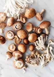 Mixed Mushroom Seeds for Planting - Heirloom, Non-GMO Organic Selection to Grow Gourmet Fungi Indoors or Outdoors