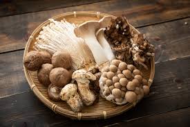 Mixed Mushroom Seeds for Planting - Heirloom, Non-GMO Organic Selection to Grow Gourmet Fungi Indoors or Outdoors