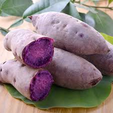 Dark Purple Sweet Potato Vegetable Seeds for Planting – Heirloom, Non-GMO, High Germination, Healthy Homegrown Roots