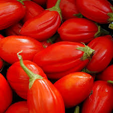 Red Eggplant Seeds for Planting – Heirloom, Non-GMO, High Germination, Bold Color with Garden Appeal