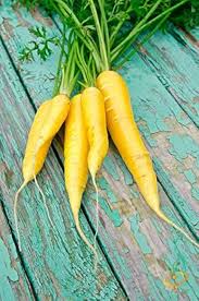 Yellow Carrot Seeds for Planting – Heirloom, Non-GMO, Vibrant Root Harvest – Organic Garden Seeds