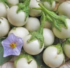 Brinjal White Round Vegetable Seeds for Planting – Heirloom, Non-GMO, High Germination, Traditional Flavorful Crop