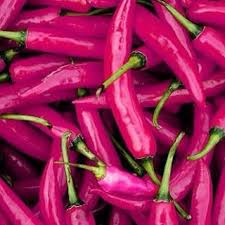 Pink Chili Brazilian Seeds for Planting – Heirloom, Non-GMO, High Germination, Spicy & Vibrant Pepper Variety