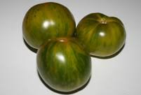 Dark Green Tomato Seeds for Planting – Heirloom, Non-GMO, High Germination, Rich Flavor & Garden Appeal