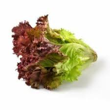 Red Green Lettuce Seeds for Planting – Heirloom, Non-GMO, High Germination, Colorful & Crunchy Salad Garden Blend