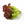 Black Lettuce Seeds for Planting – Heirloom, Non-GMO, Organic Garden Seeds with Bold Leaves for Gourmet Greens