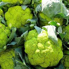Green Cauliflower Seeds for Planting – Heirloom, Non-GMO, High Germination, Nutritious & Unique Garden Veggie