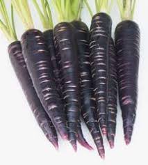 Black Carrot Seeds for Planting – Heirloom, Non-GMO, High Germination, Antioxidant-Rich & Visually Striking Roots