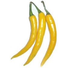 Light Yellow Chili Seeds for Planting – Heirloom, Non-GMO, High Germination, Mild & Vibrant Pepper Variety