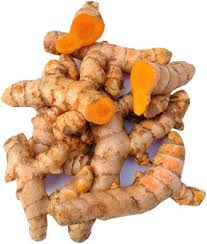 Brown Turmeric Root Seeds for Planting – Heirloom, Non-GMO, High Germination, Organic Roots for Spice Gardens